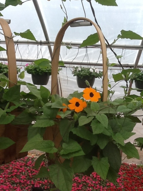 20120423-104958.jpg