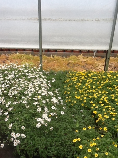 20120423-105025.jpg