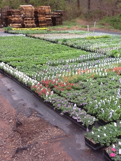 20120423-105036.jpg