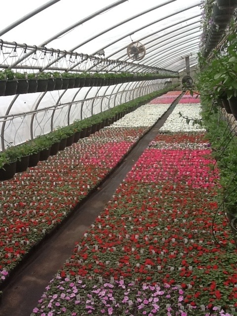 20120423-105042.jpg