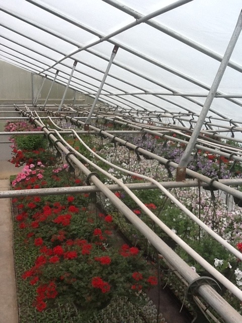 20120423-105053.jpg