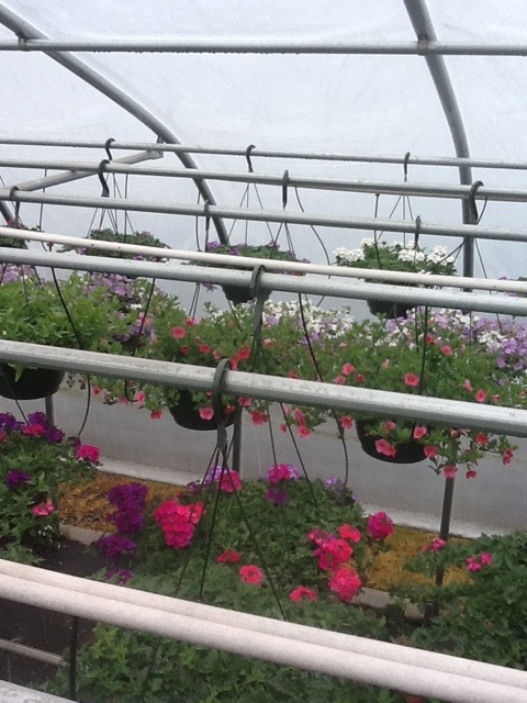 20120423-105059.jpg