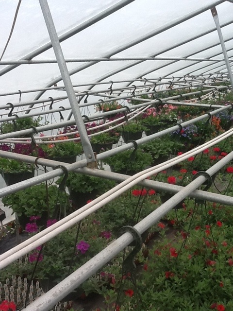 20120423-105107.jpg