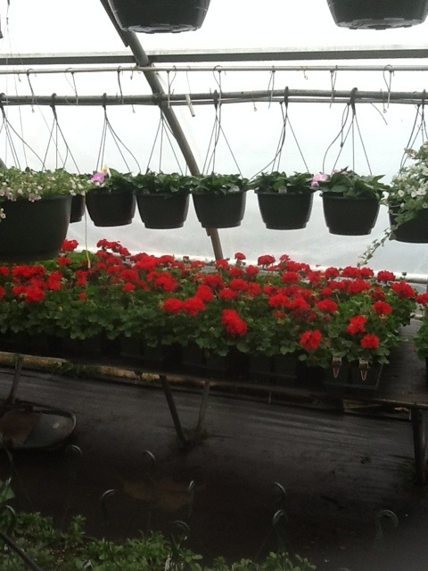 20120423-105127.jpg
