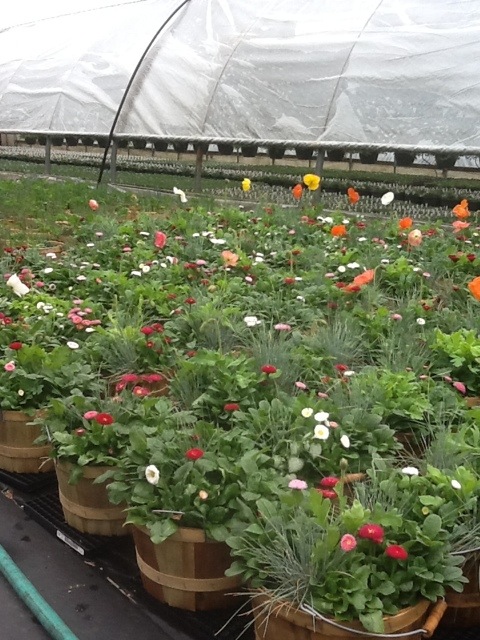 20120423-105141.jpg