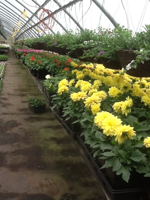 20120423-105209.jpg
