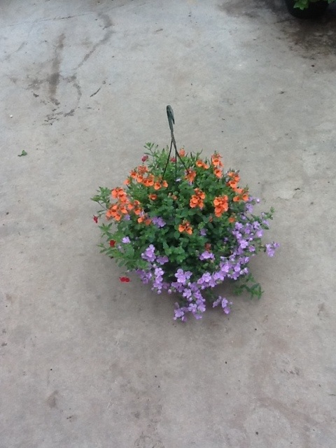 20120423-105219.jpg