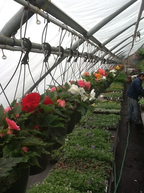 20120423-105228.jpg
