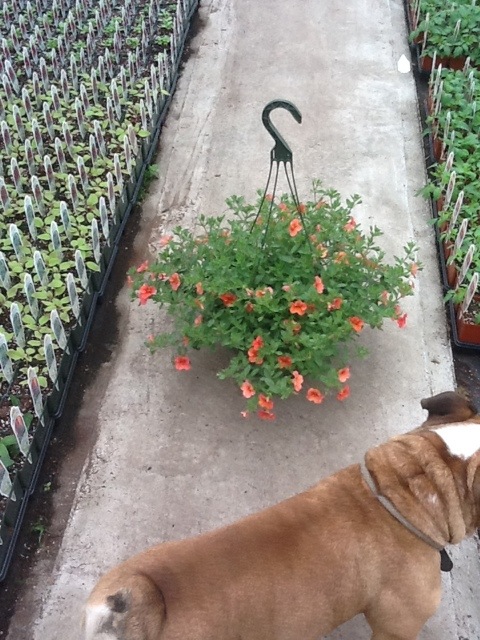 20120423-105236.jpg