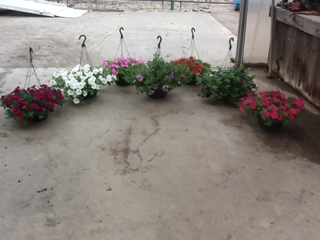 20120423-105243.jpg