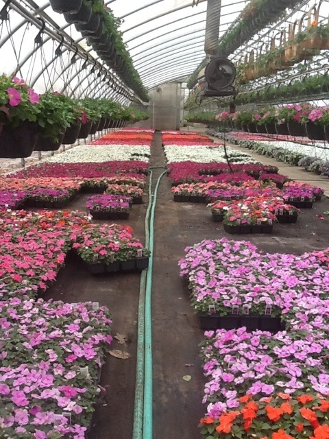 20120423-105256.jpg
